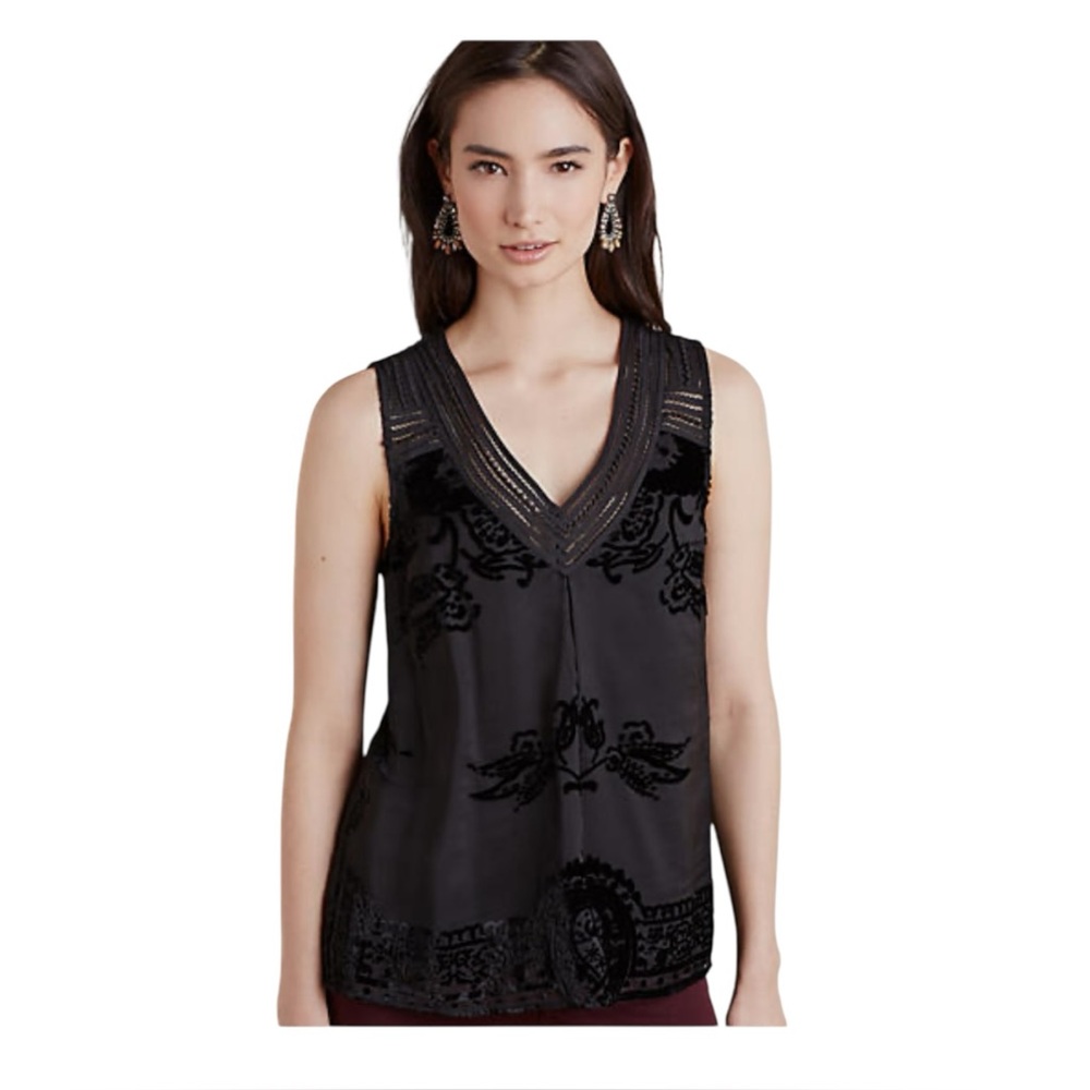 Anthropologie Meadow Rue Fanya Velvet Burnout Goth Victorian Witchy Top